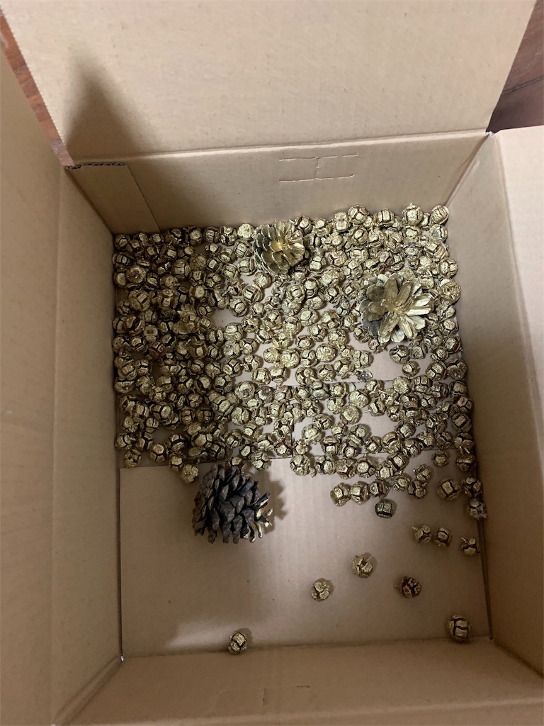 f:id:campmedaka:20190328062323j:image