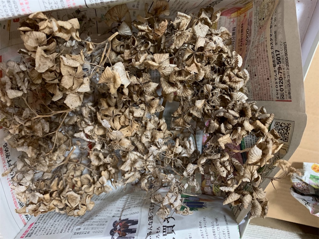 f:id:campmedaka:20190329225301j:image