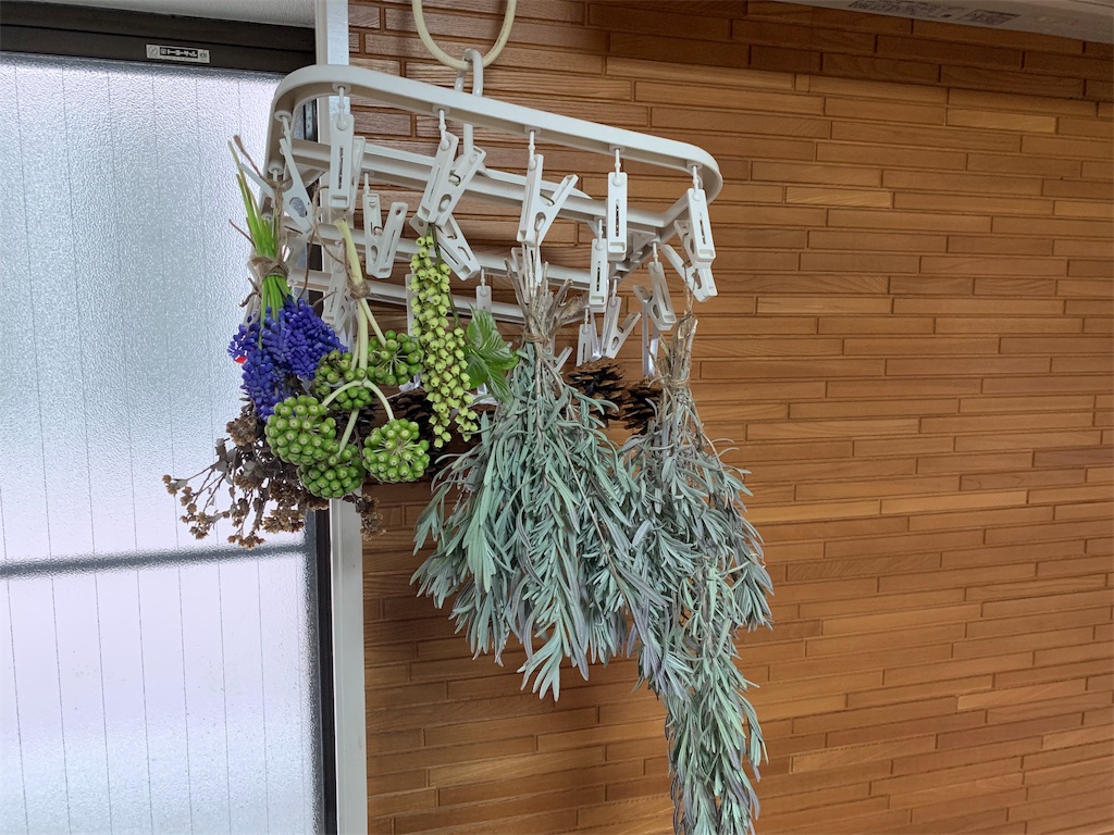 f:id:campmedaka:20190329225305j:image