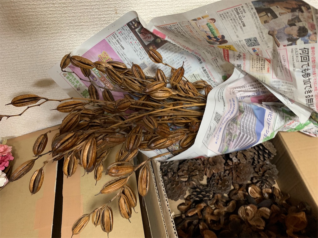 f:id:campmedaka:20190329225310j:image