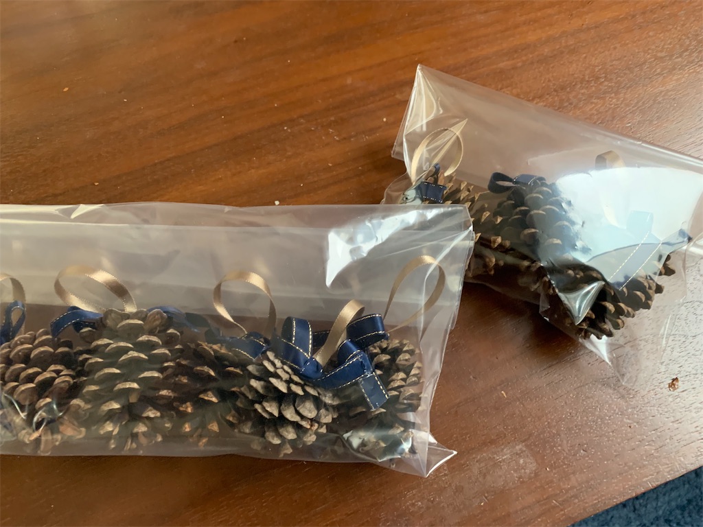 f:id:campmedaka:20190329225602j:image