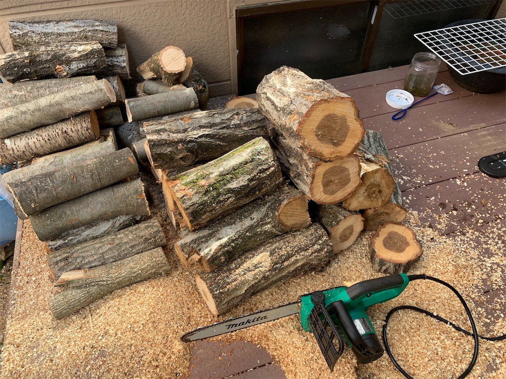 f:id:campmedaka:20190502063151j:image