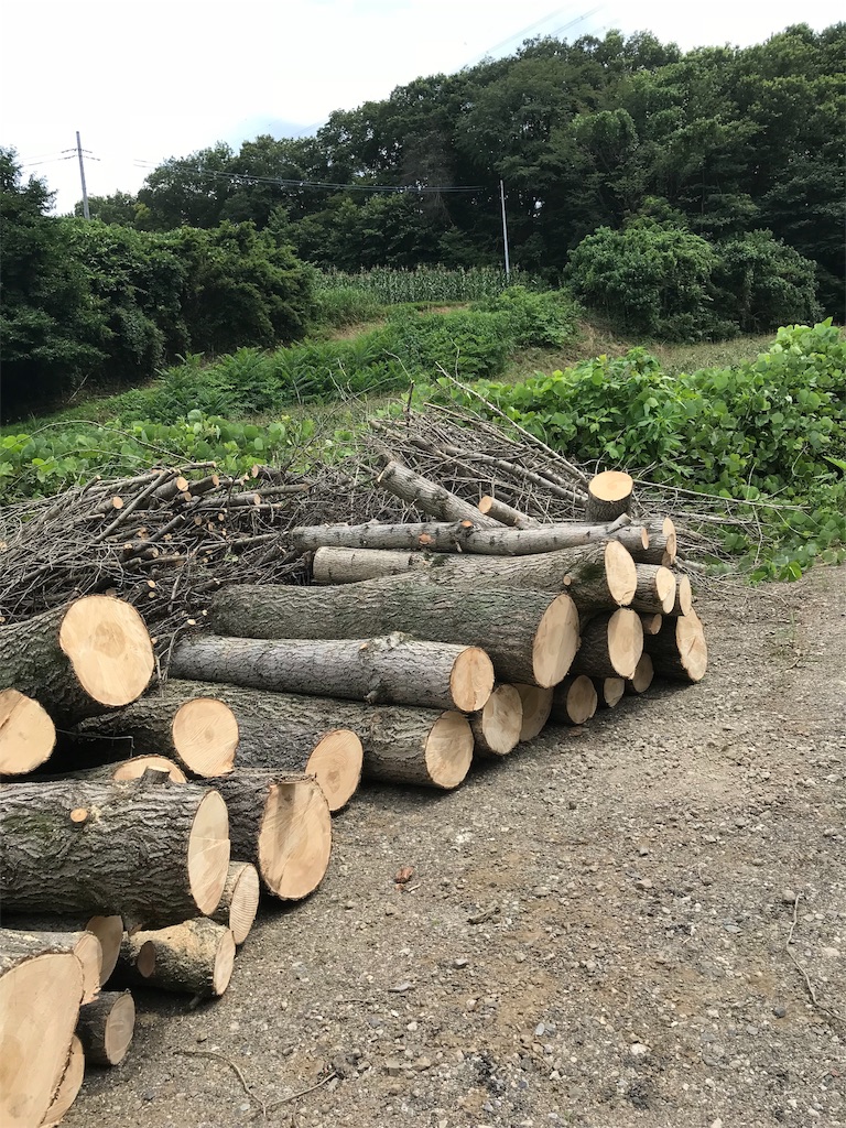 f:id:campmedaka:20190502064018j:image