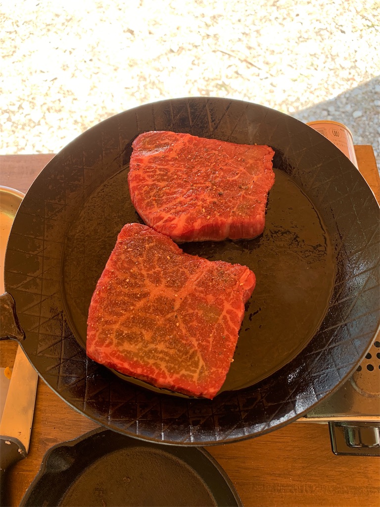 f:id:campmedaka:20190509115259j:image