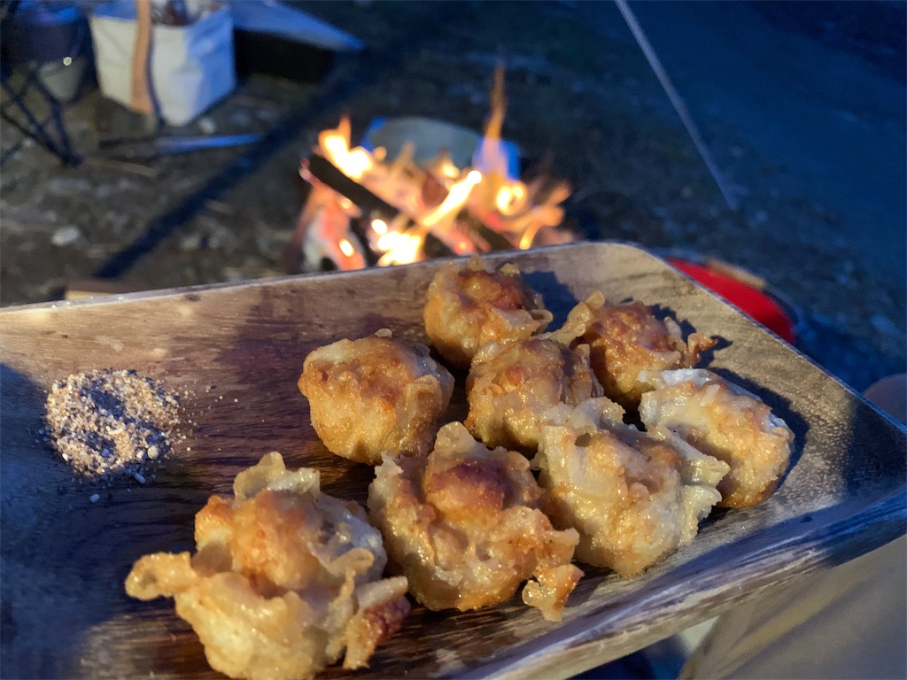 f:id:campmedaka:20190509115317j:image