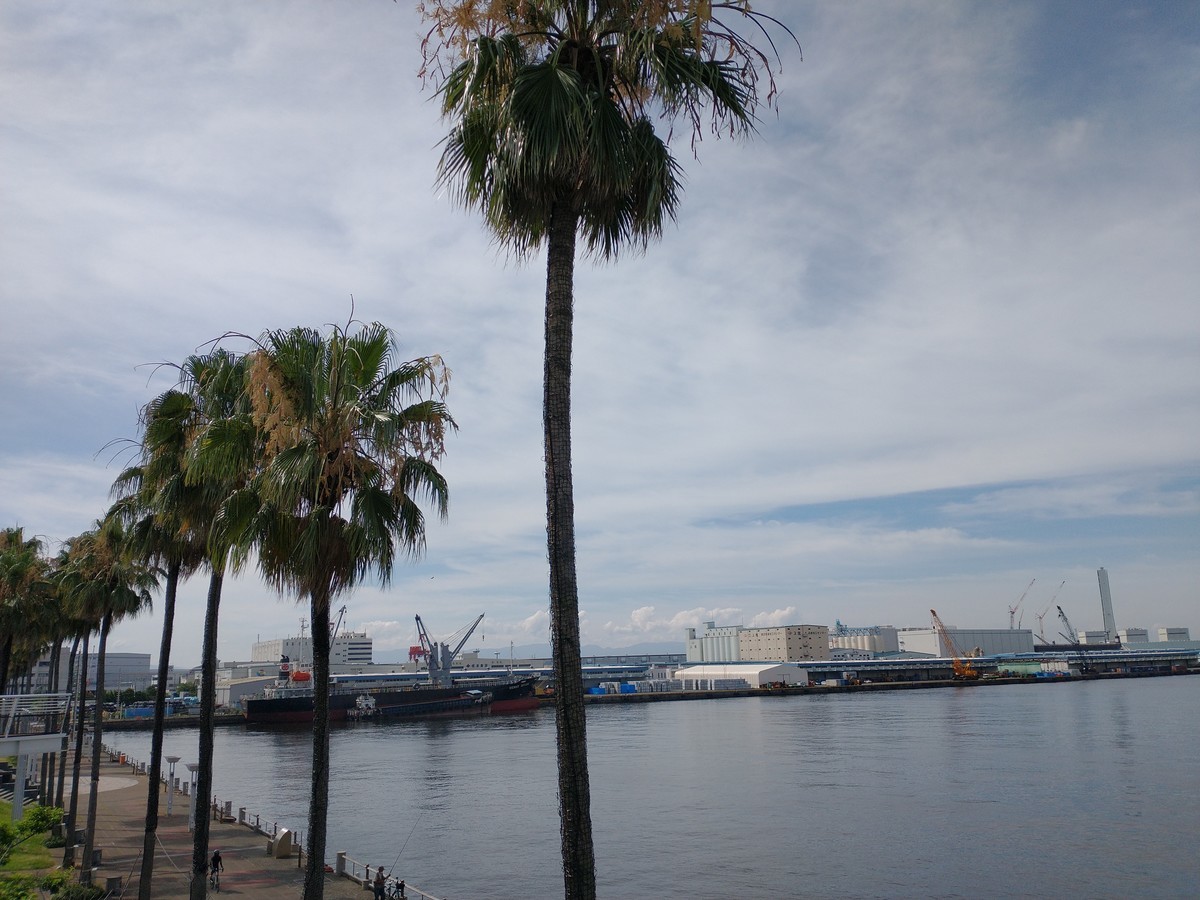 f:id:campus5870:20210723091146j:plain