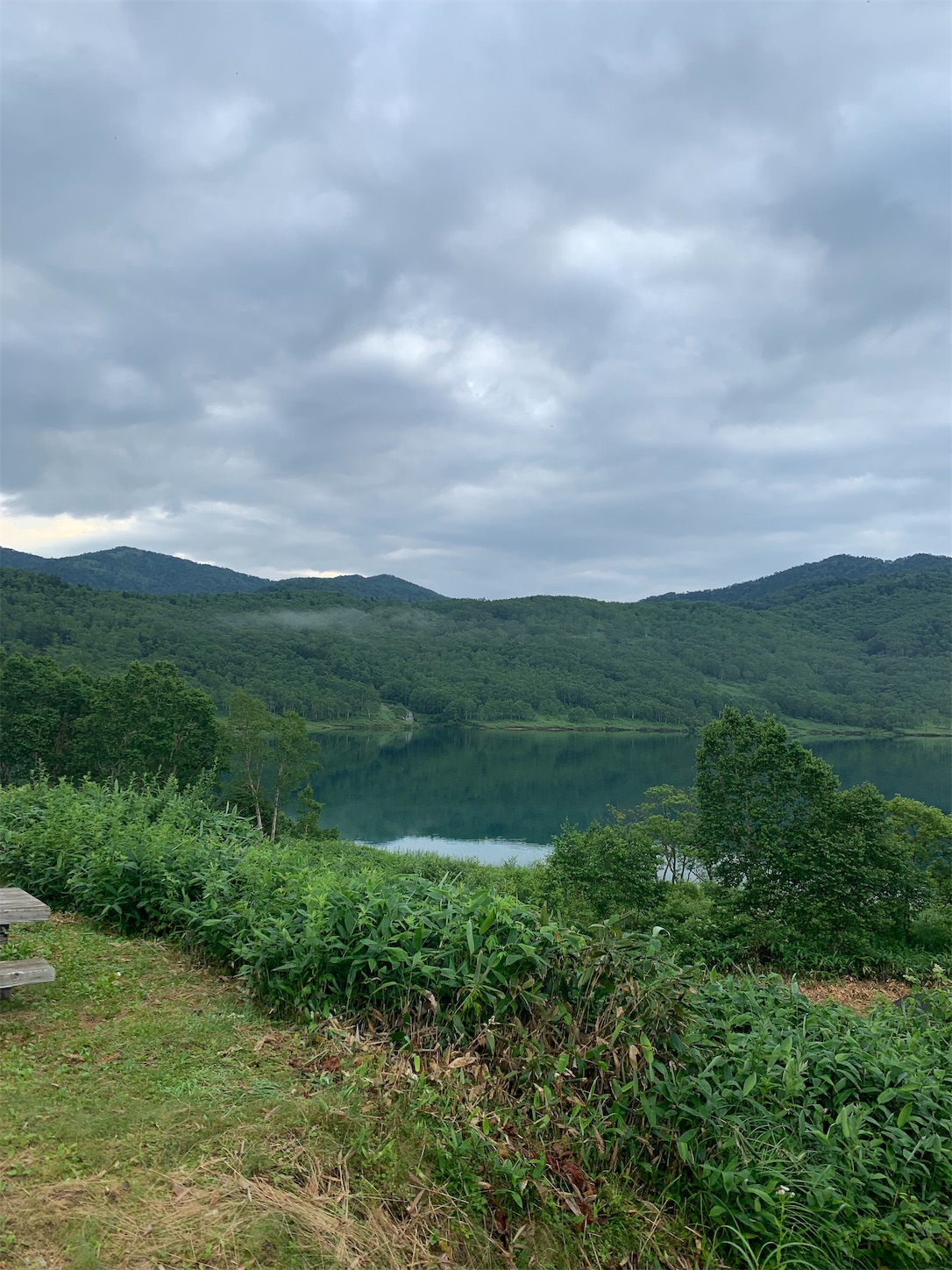 f:id:camshuntaro:20210603123205j:image f:id:camshuntaro:20210603123205j:image