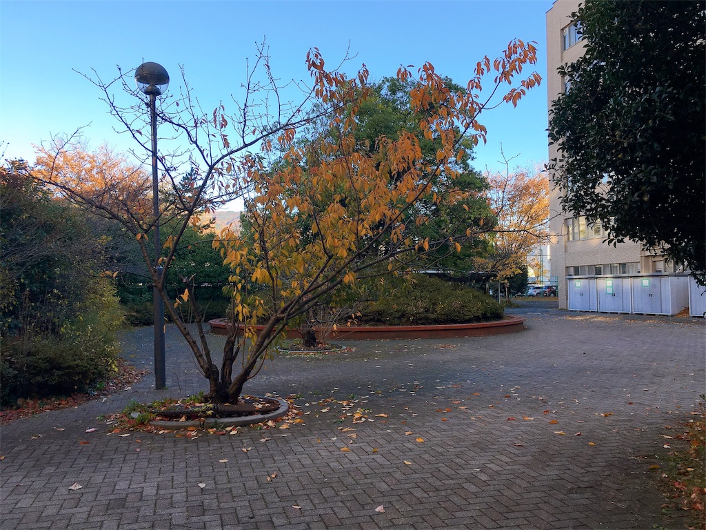 f:id:can-co:20191120153015j:image f:id:can-co:20191120153015j:image