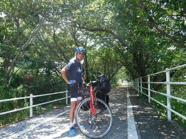 80 歳 自転車