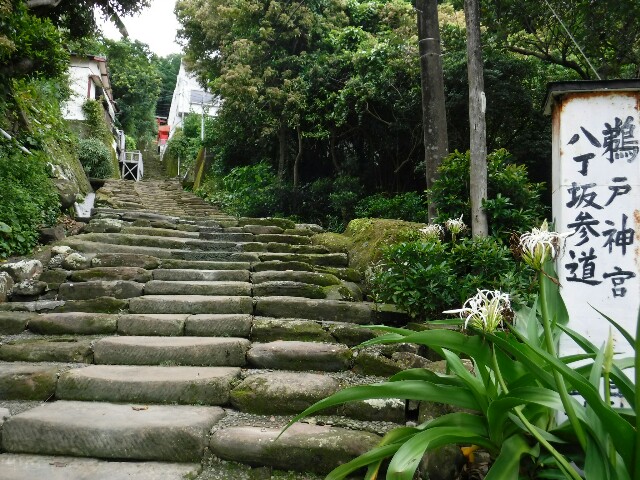 f:id:can63:20190706223921j:image