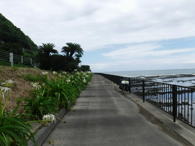 f:id:can63:20190706224009j:image