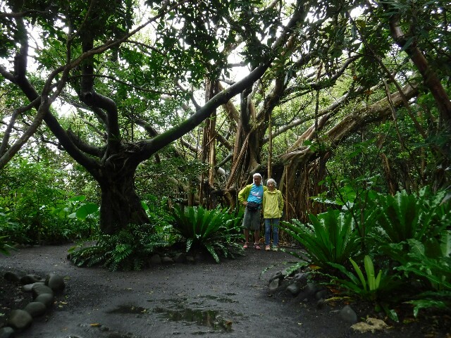 f:id:can63:20190710205148j:image