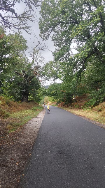 f:id:can63:20230905200625j:image