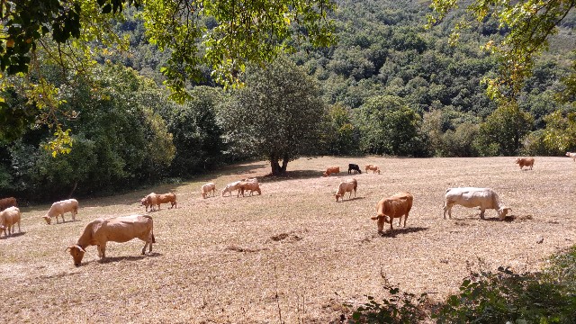 f:id:can63:20230907021553j:image