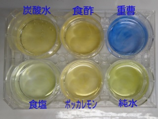 イメージ 8