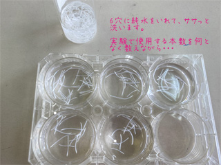 f:id:canacana44:20220206235520j:plain