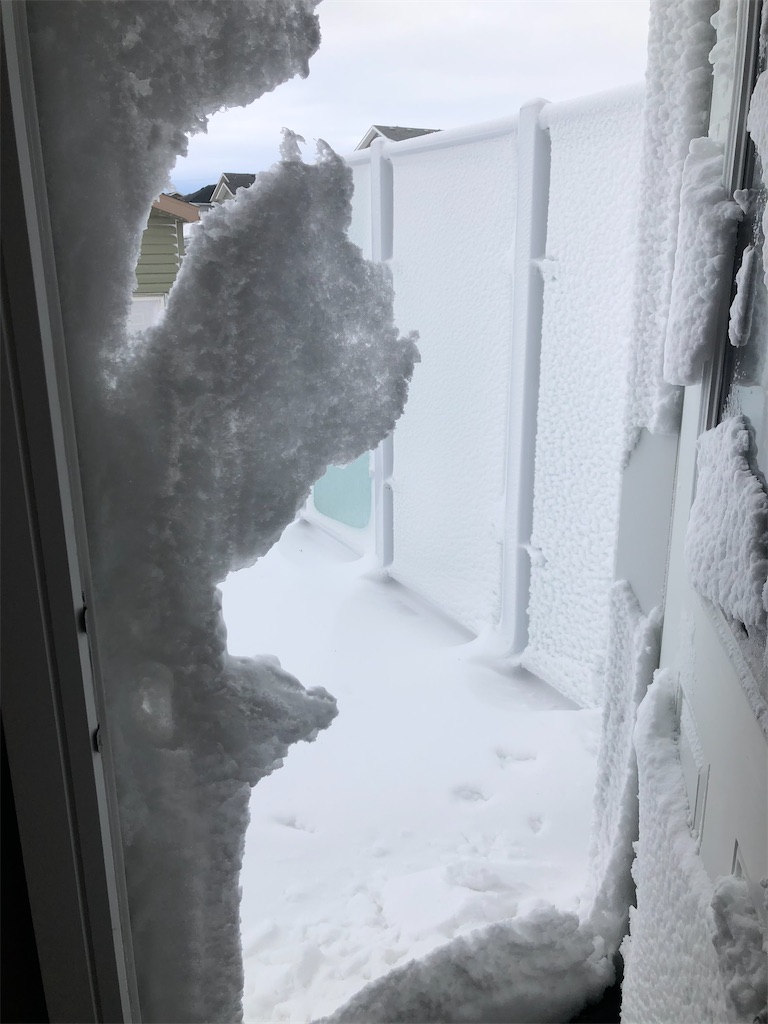f:id:canadalife2018:20210122130038j:image