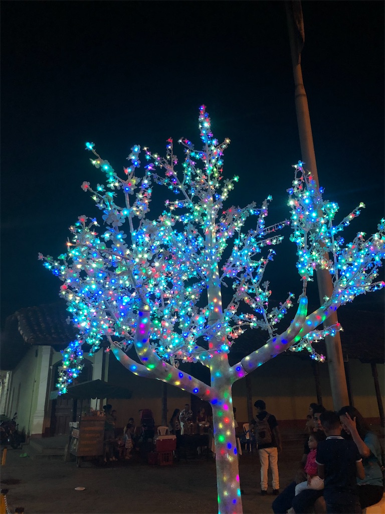 f:id:canadaniikitai:20191223105250j:image