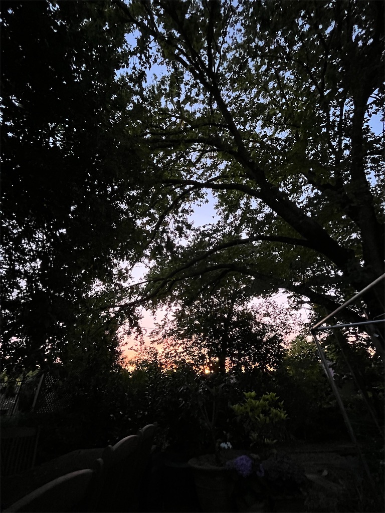 f:id:canadaniikitai:20231205185227j:image