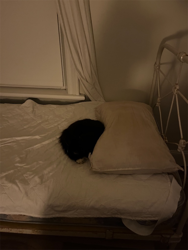 f:id:canadaniikitai:20240429131505j:image f:id:canadaniikitai:20240429131505j:image