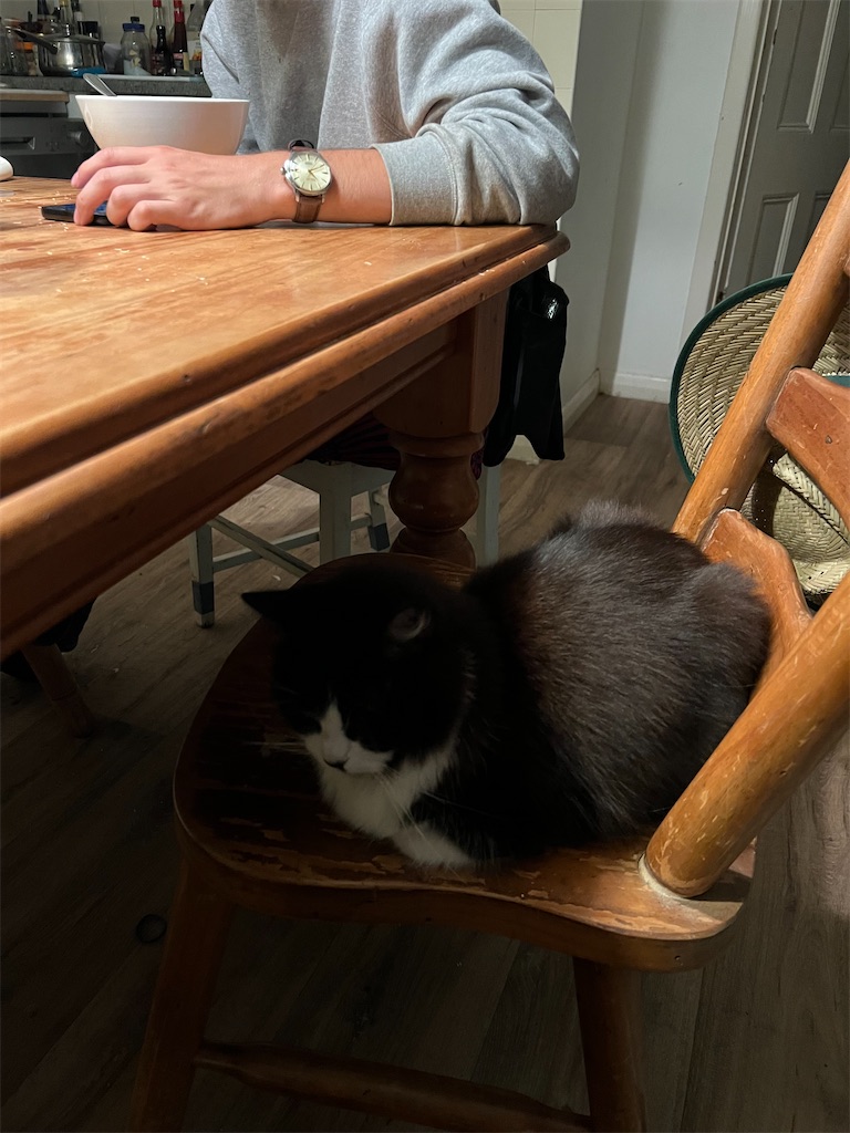 f:id:canadaniikitai:20240429135505j:image f:id:canadaniikitai:20240429135505j:image