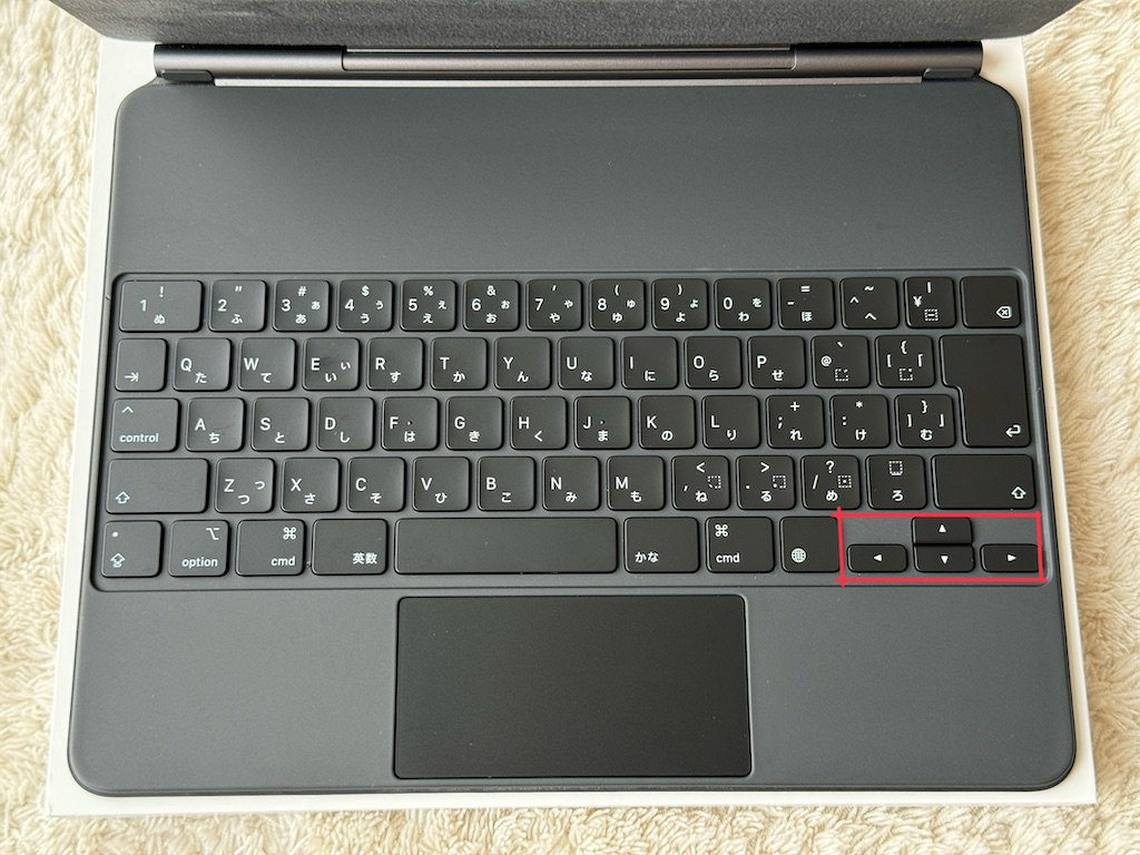 f:id:canalbird:20240904234128j:image f:id:canalbird:20240904234128j:image