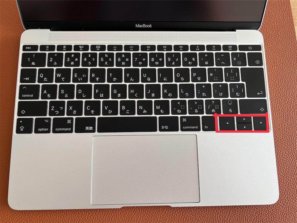 f:id:canalbird:20240905011412j:image f:id:canalbird:20240905011412j:image