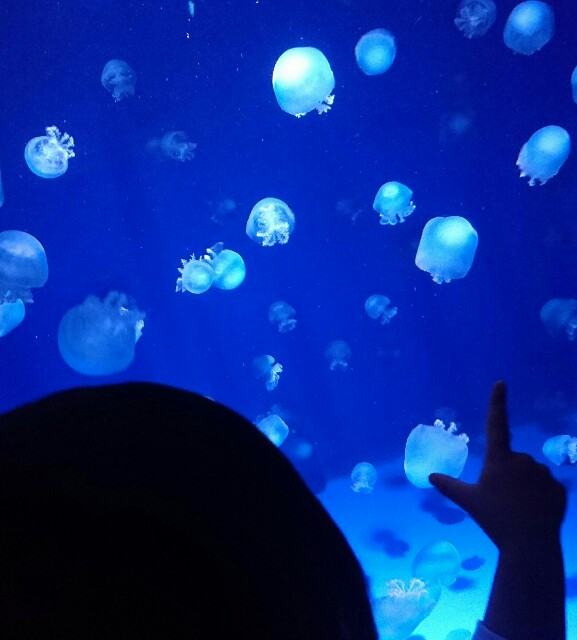 f:id:canana_eem:20190414213840j:image f:id:canana_eem:20190414213840j:image