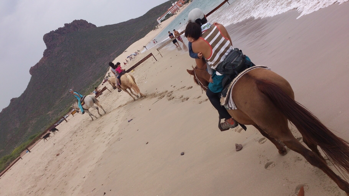 f:id:cancunLIFE-jp:20210503040732j:plain