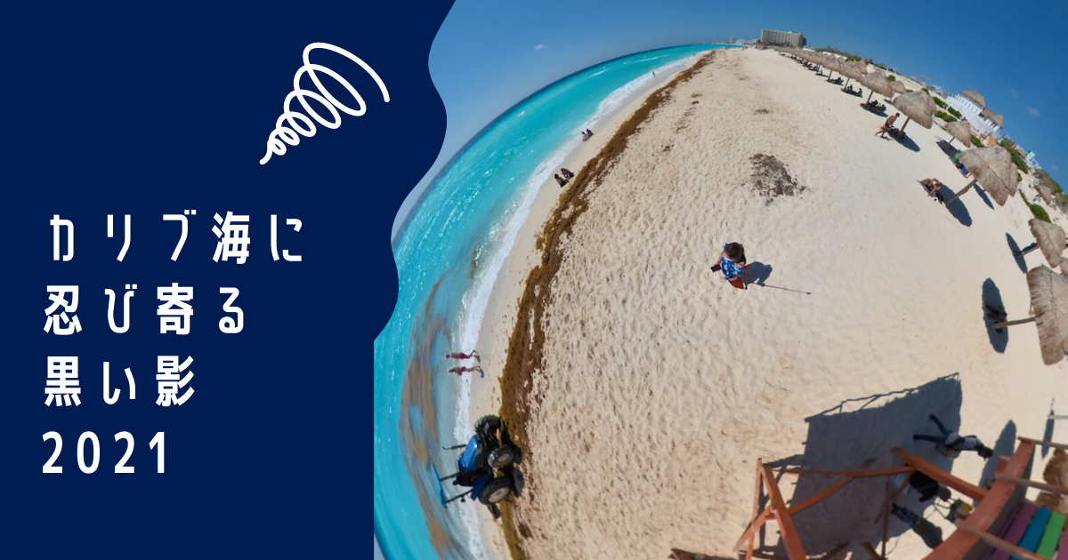 f:id:cancunLIFE-jp:20210514053344p:plain