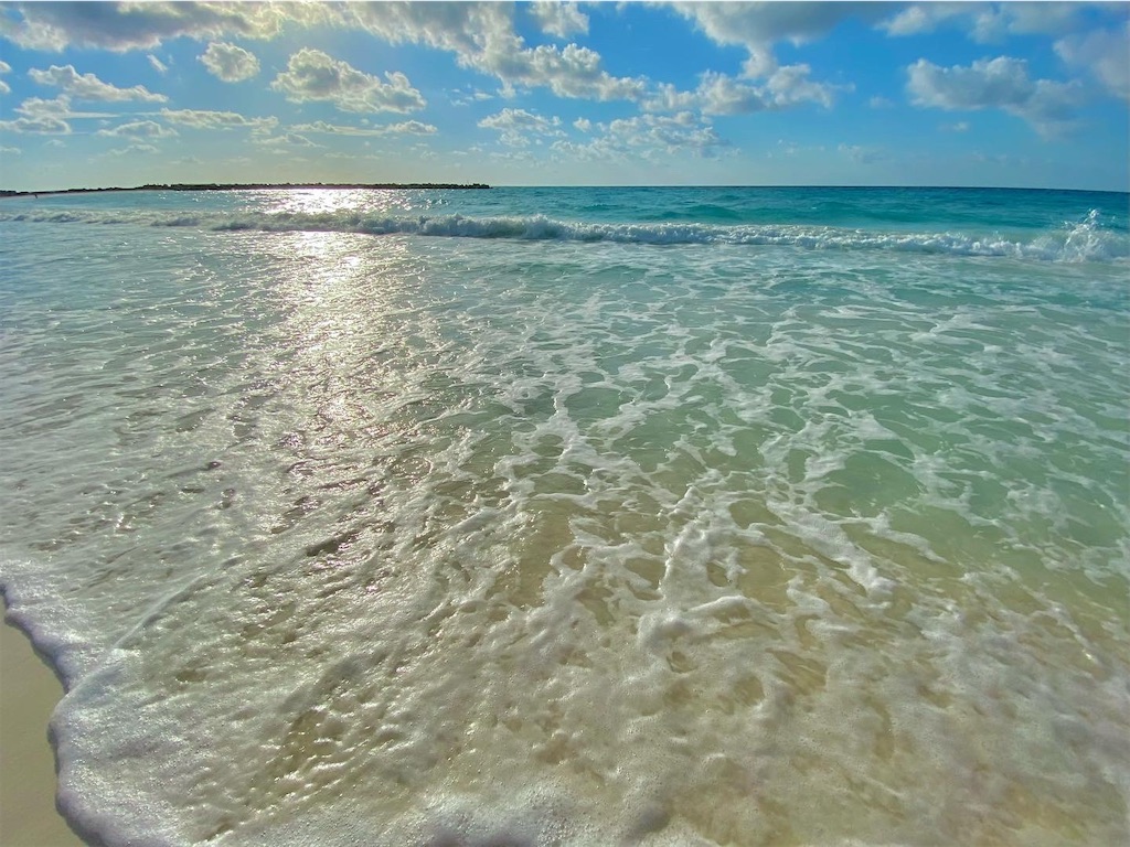 f:id:cancunLIFE-jp:20220129062949j:image f:id:cancunLIFE-jp:20220129062949j:image