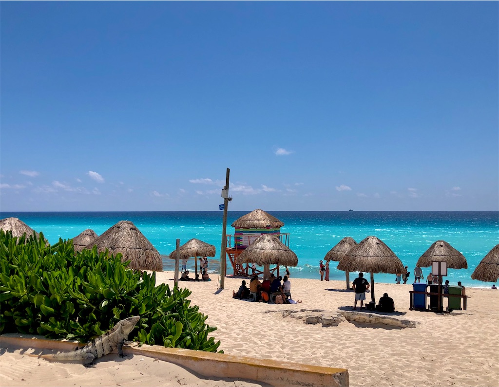 f:id:cancunLIFE-jp:20220129063643j:image