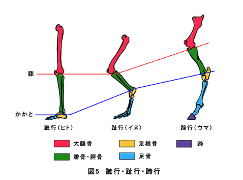 f:id:candy831rain:20190308090958p:plain f:id:candy831rain:20190308090958p:plain