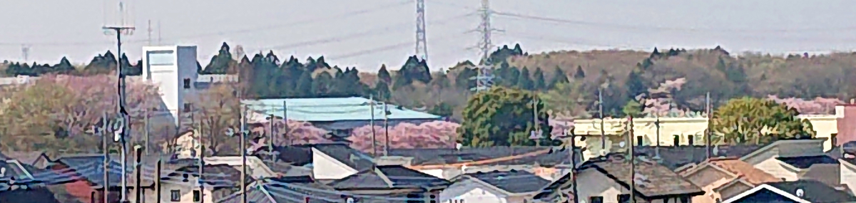 f:id:candy_box:20220412220827j:plain