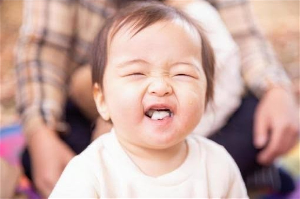 f:id:candyhimawari391:20250730234926j:image