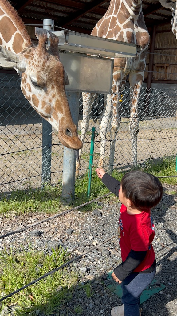 f:id:candyhimawari391:20250801174641j:image