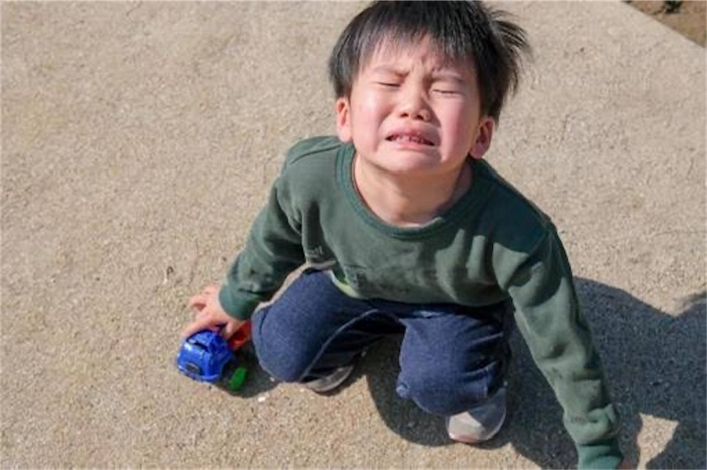 f:id:candyhimawari391:20250803133328j:image f:id:candyhimawari391:20250803133328j:image