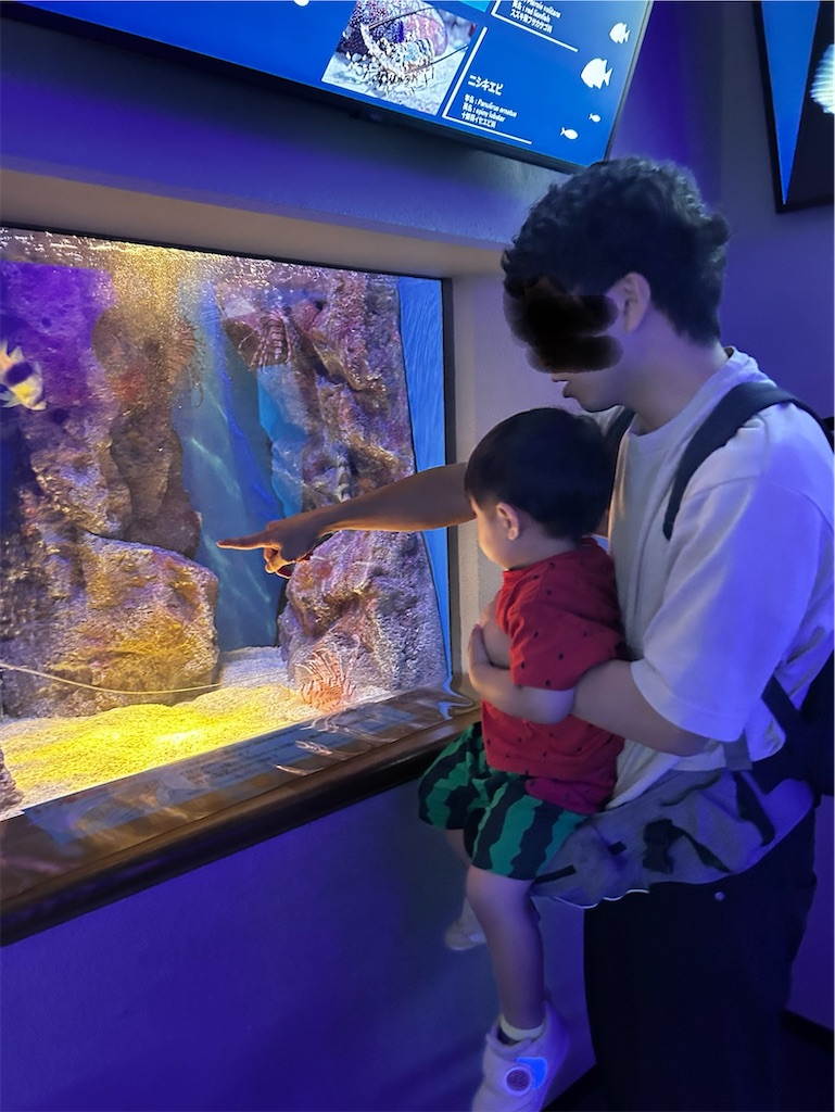 f:id:candyhimawari391:20250804002439j:image