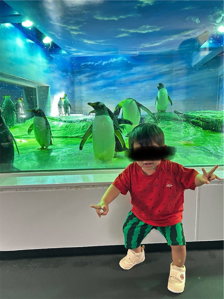 f:id:candyhimawari391:20250804002626j:image