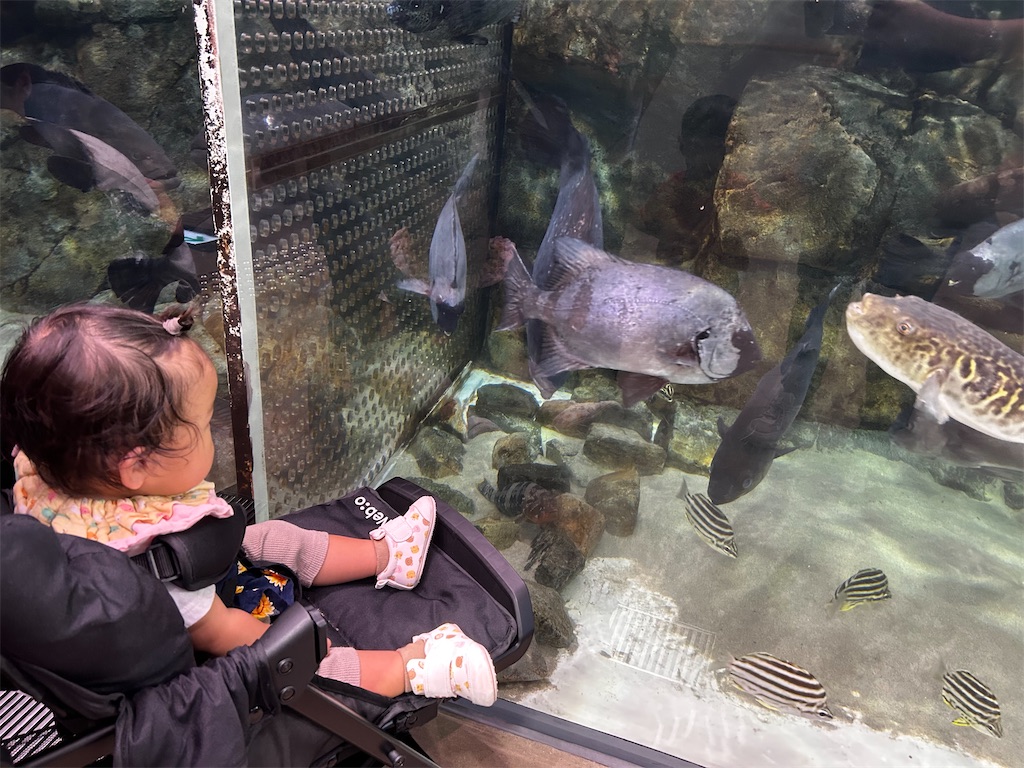 f:id:candyhimawari391:20250804002901j:image