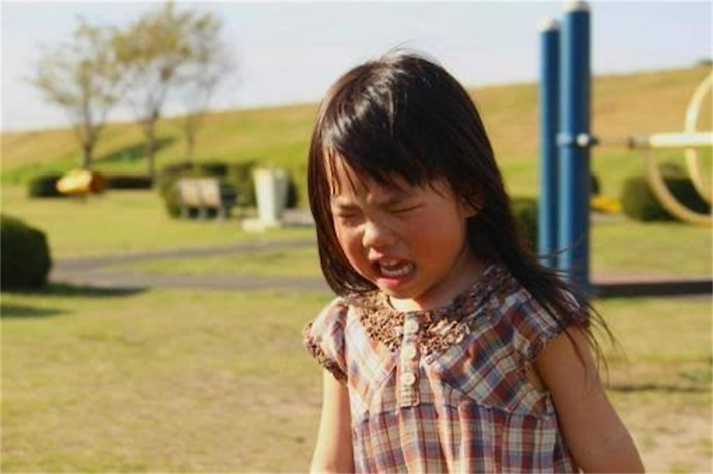 f:id:candyhimawari391:20250805123738j:image