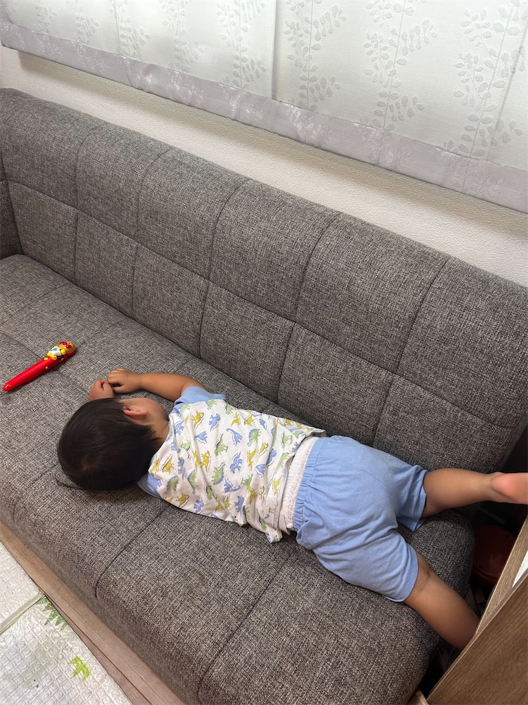 f:id:candyhimawari391:20250806181611j:image