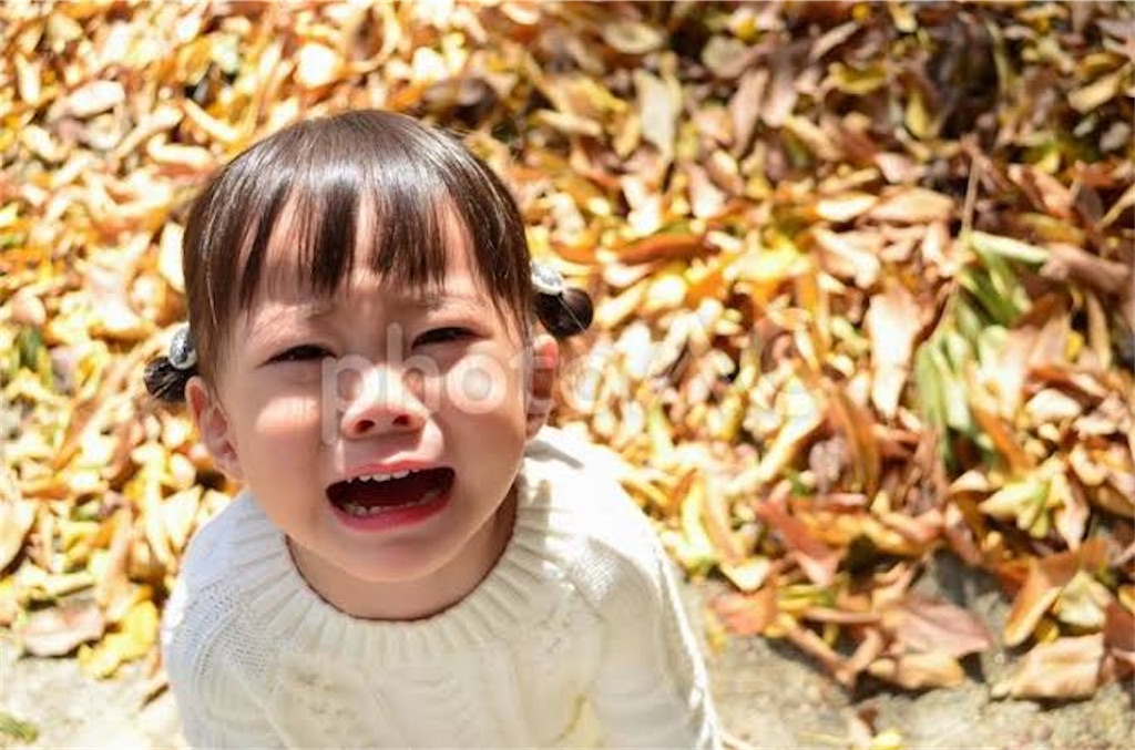 f:id:candyhimawari391:20250807185823j:image