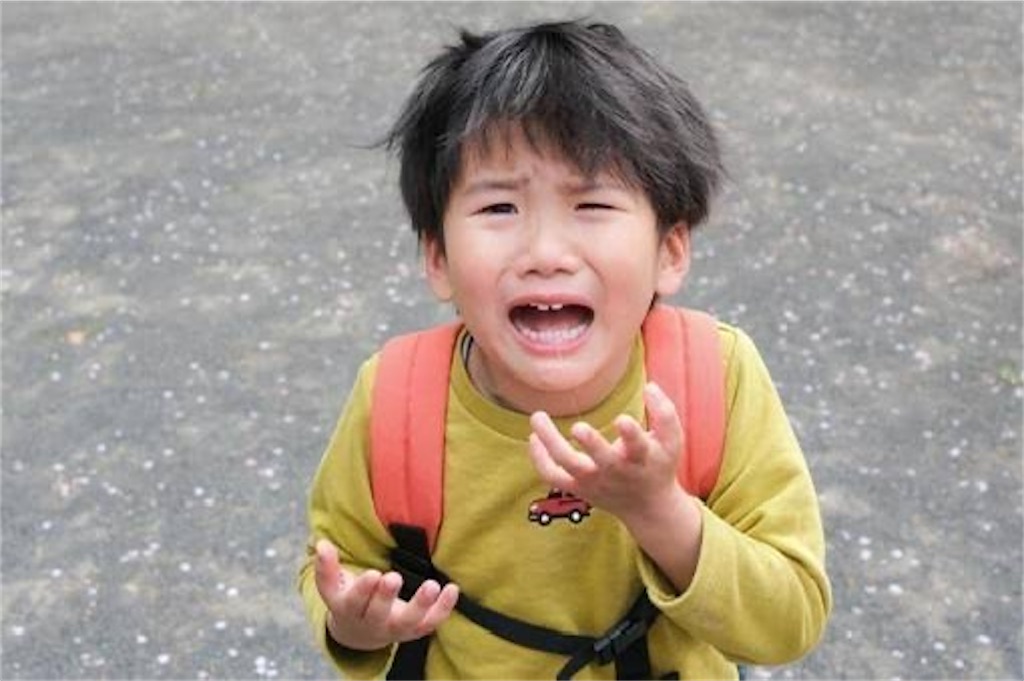 f:id:candyhimawari391:20250811083351j:image