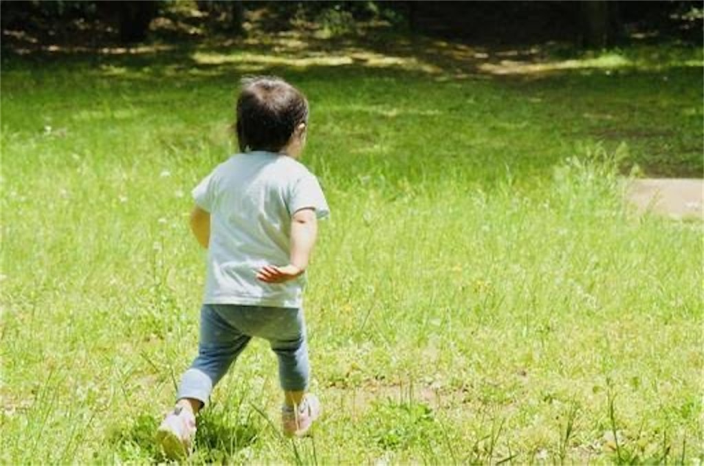 f:id:candyhimawari391:20250811113449j:image