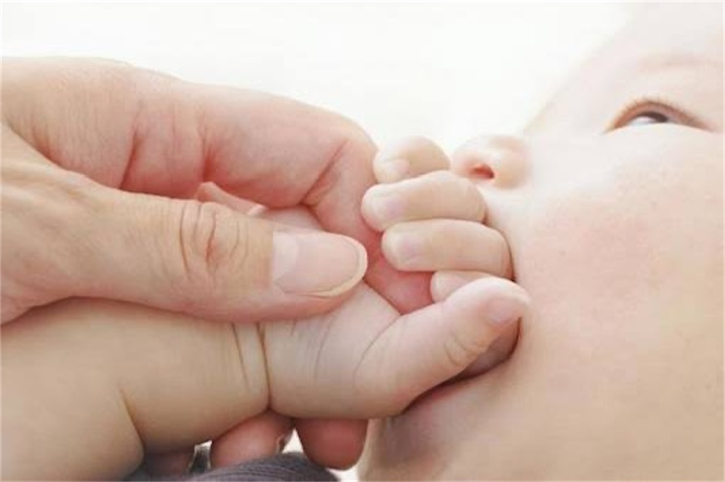 f:id:candyhimawari391:20250814220309j:image