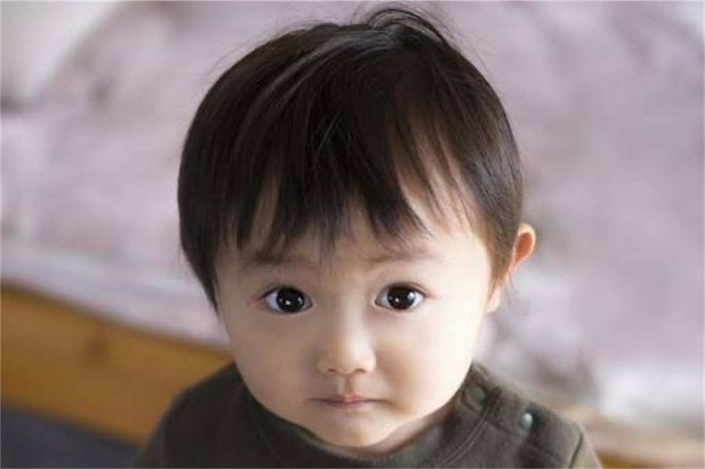 f:id:candyhimawari391:20250819182530j:image