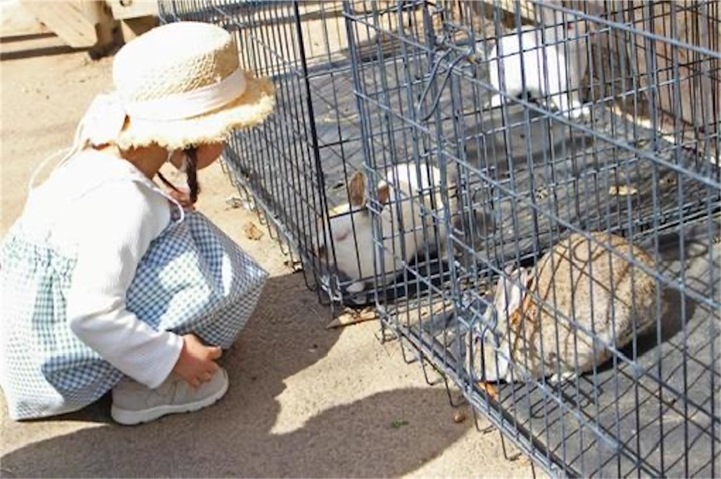 f:id:candyhimawari391:20250819182608j:image