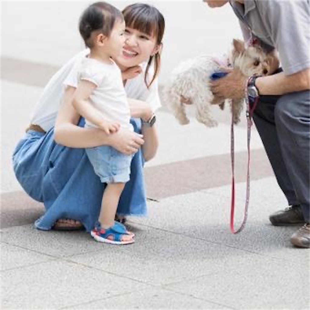 f:id:candyhimawari391:20250819182714j:image