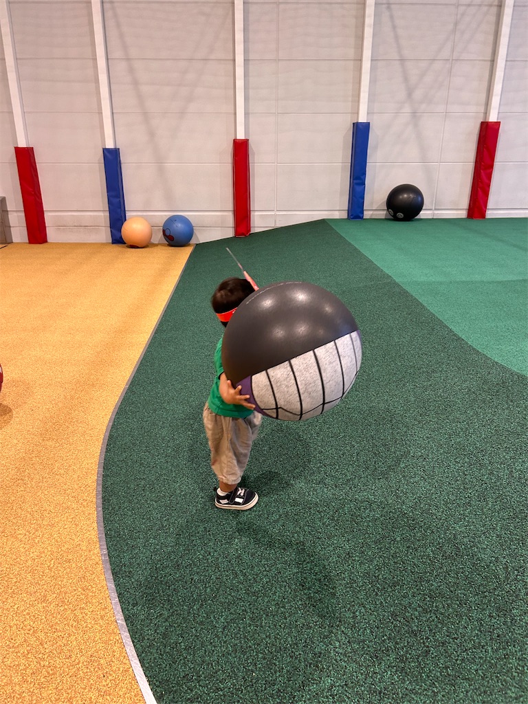 f:id:candyhimawari391:20250820214127j:image